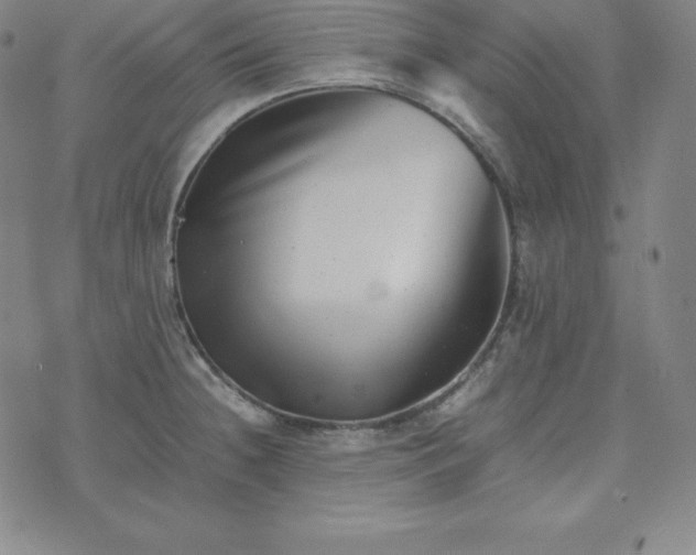 X0000074231236200609011234