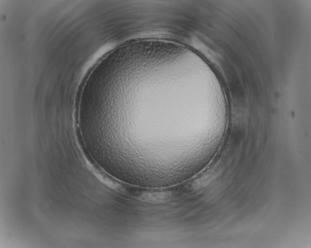 X0000074231237200609011234