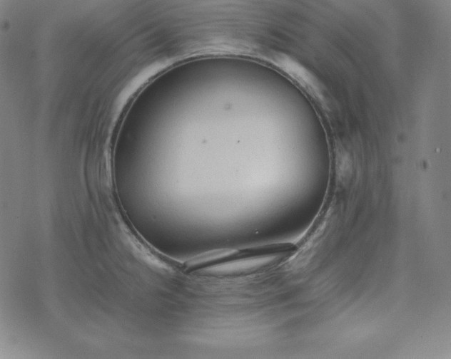 X0000074231238200609011234