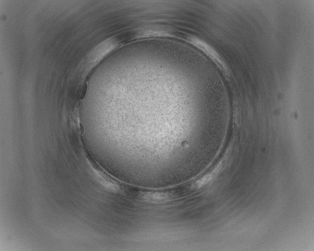 X0000074231241200609011234