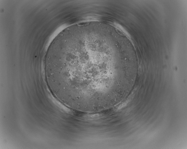 X0000074231243200609011234