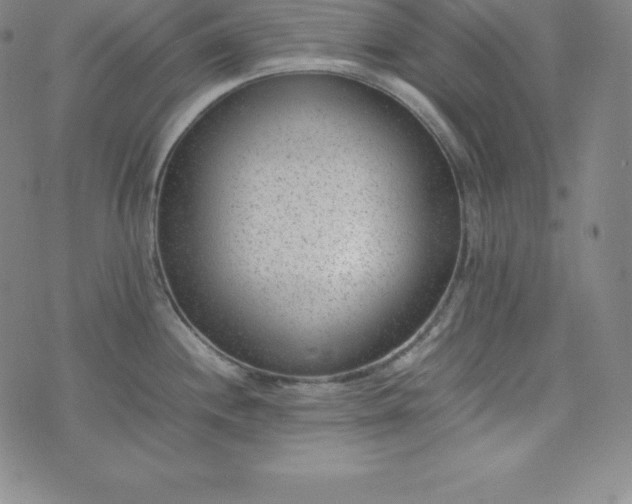 X0000074231244200609011234