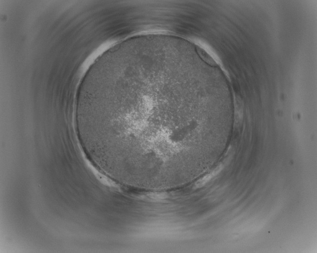 X0000074231245200609011234