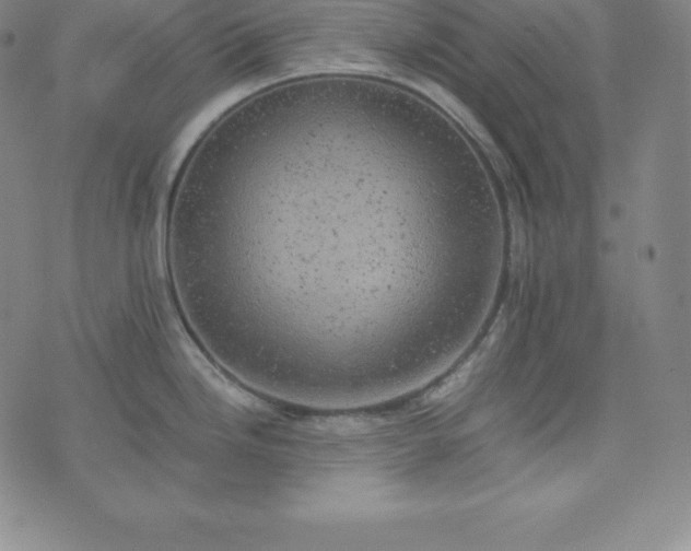 X0000074231246200609011234