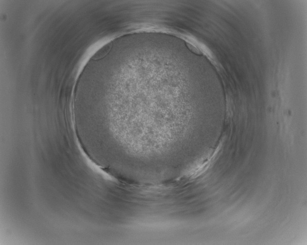 X0000074231247200609011234