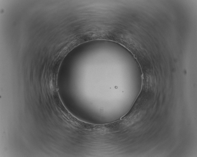 X0000074231250200609011233