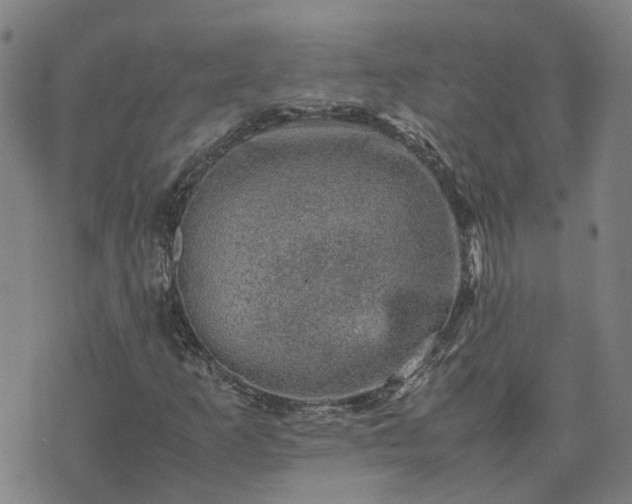 X0000074231253200609011233