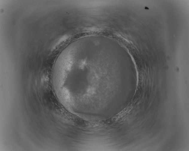 X0000074231254200609011233