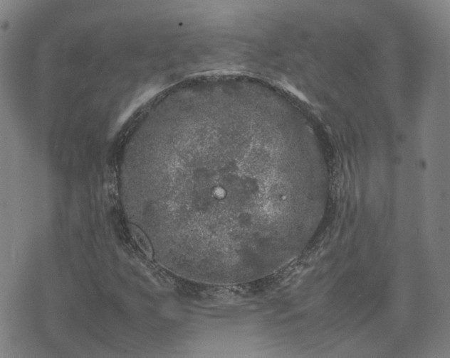 X0000074231255200609011233