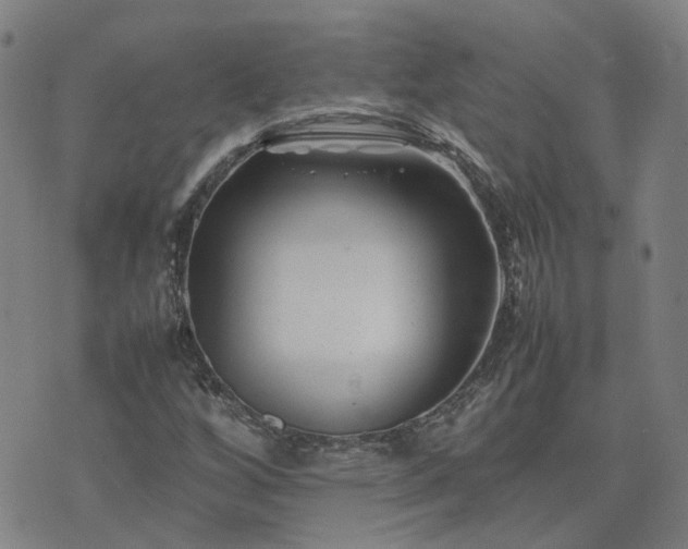 X0000074231256200609011233