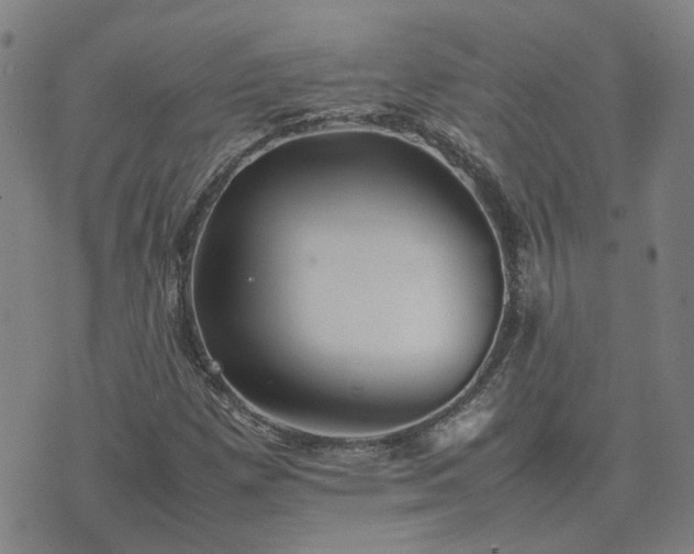 X0000074231257200609011233