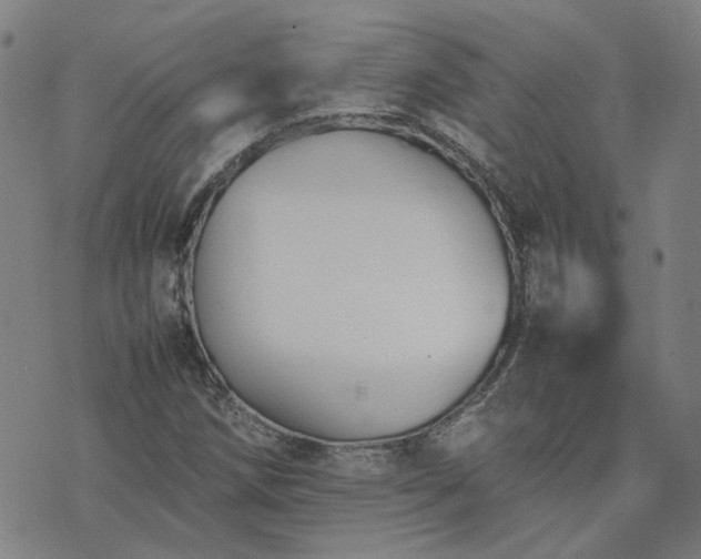 X0000074231258200609011233