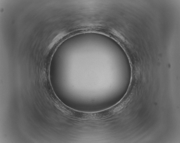 X0000074231259200609011233