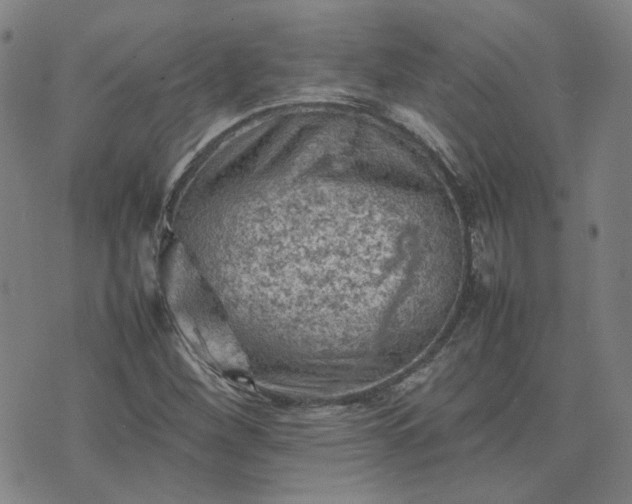 X0000074231260200609011233