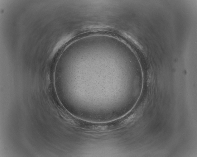 X0000074231261200609011233