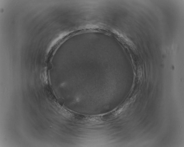 X0000074231262200609011233