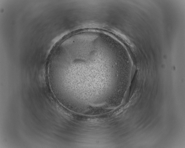 X0000074231264200609011233