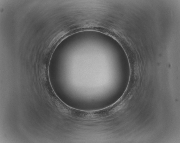 X0000074231265200609011233