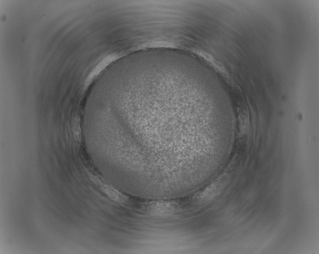 X0000074231266200609011233