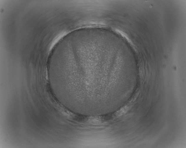 X0000074231267200609011233