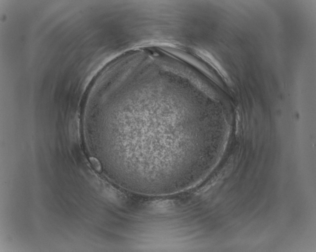 X0000074231268200609011233