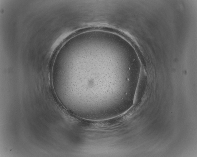 X0000074231271200609011233