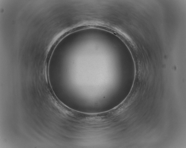 X0000074231272200609011233