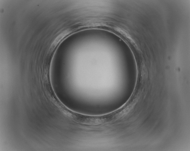 X0000074231273200609011233