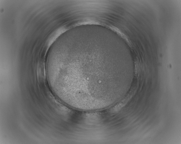 X0000074231274200609011233