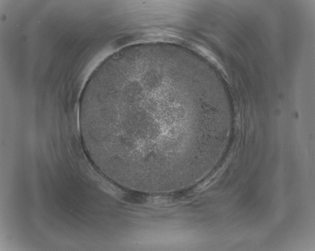 X0000074231275200609011233