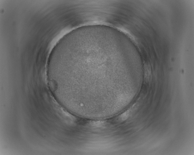 X0000074231278200609011233