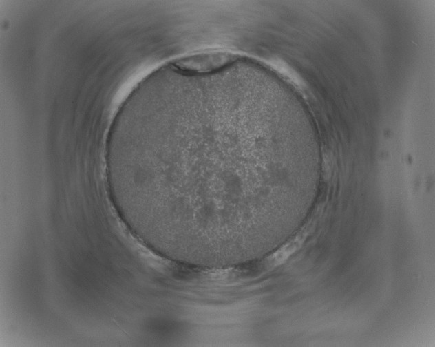 X0000074231279200609011233