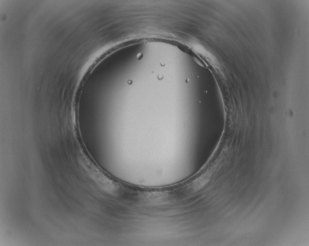 X0000074231280200609011232