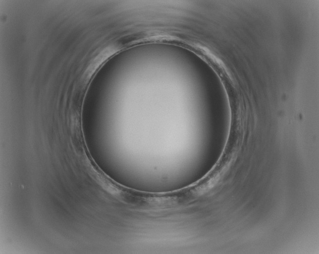 X0000074231281200609011232