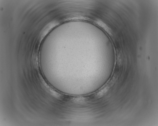 X0000074231282200609011232