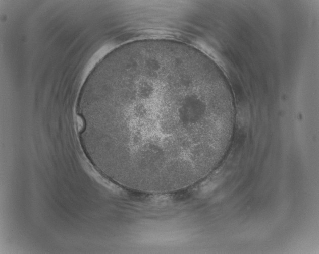 X0000074231283200609011232