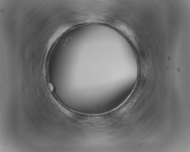 X0000074231285200609011232