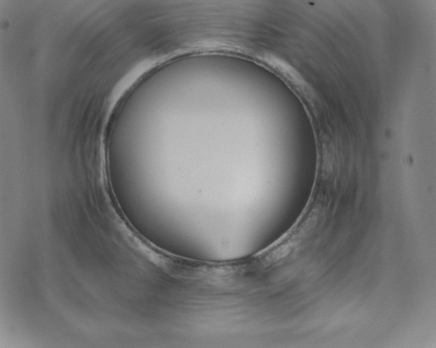 X0000074231286200609011232