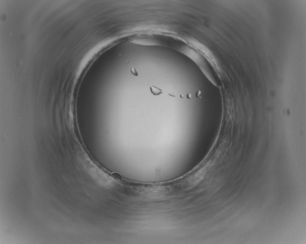 X0000074231288200609011232