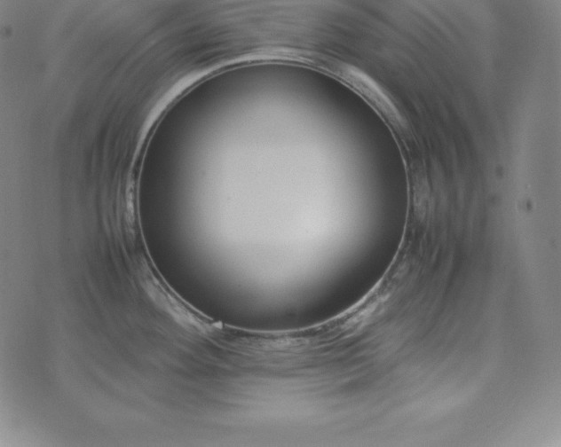 X0000074231292200609011232