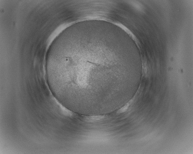 X0000074231294200609011232