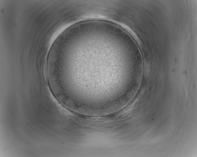 X0000074231295200609011232