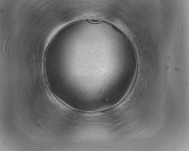 X0000074231296200609011232