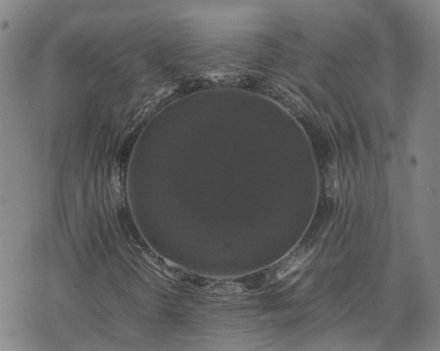 X0000074231298200609011231