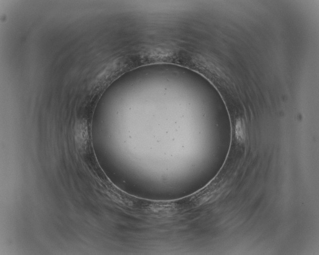 X0000074231299200609011231