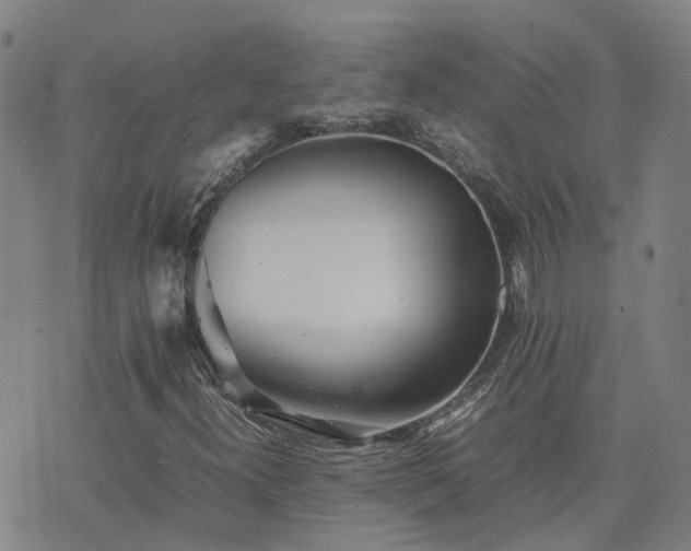 X0000074231300200609011232