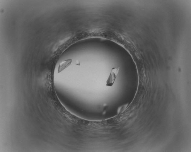 X0000074231301200609011232