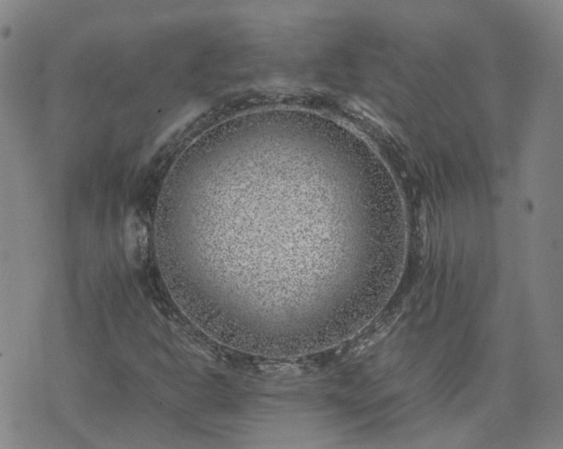 X0000074231302200609011232