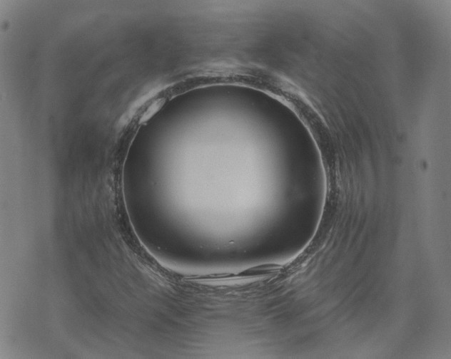 X0000074231304200609011232