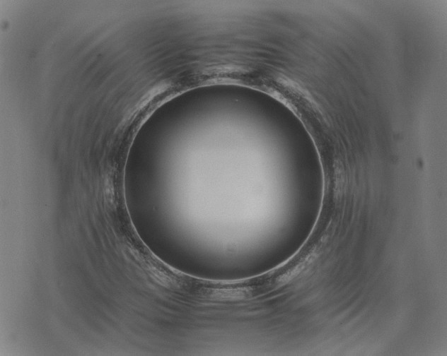 X0000074231305200609011232